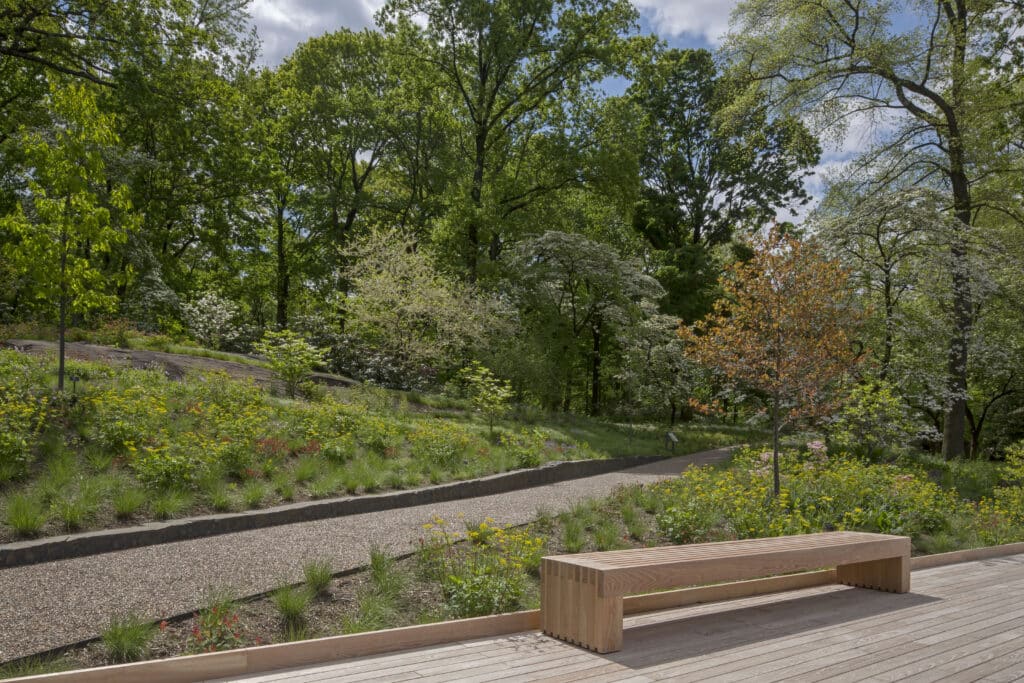 Native Plant Garden Bench