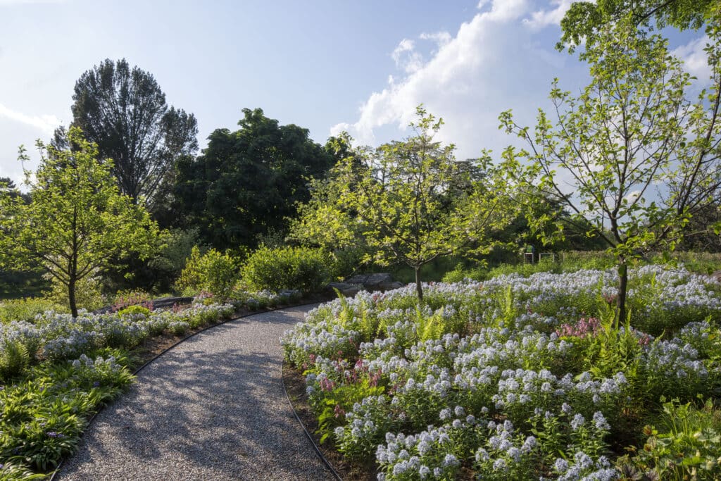 Native Plant Garden Pathway