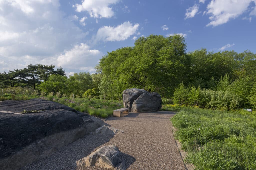 NYBG NPG Rock Formation