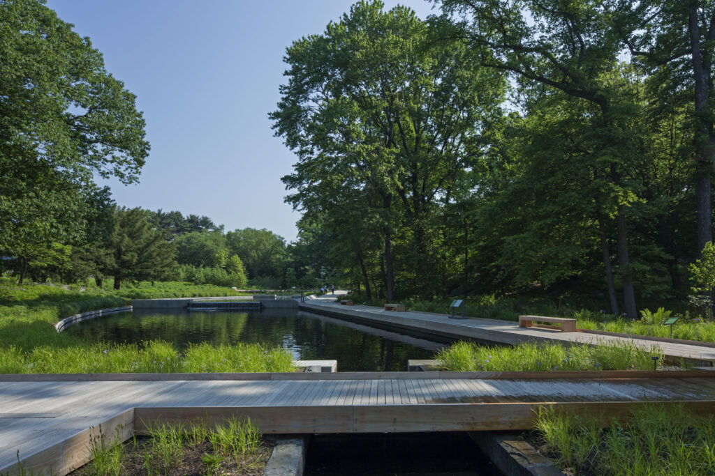NYBG Native Plant Garden Bridge