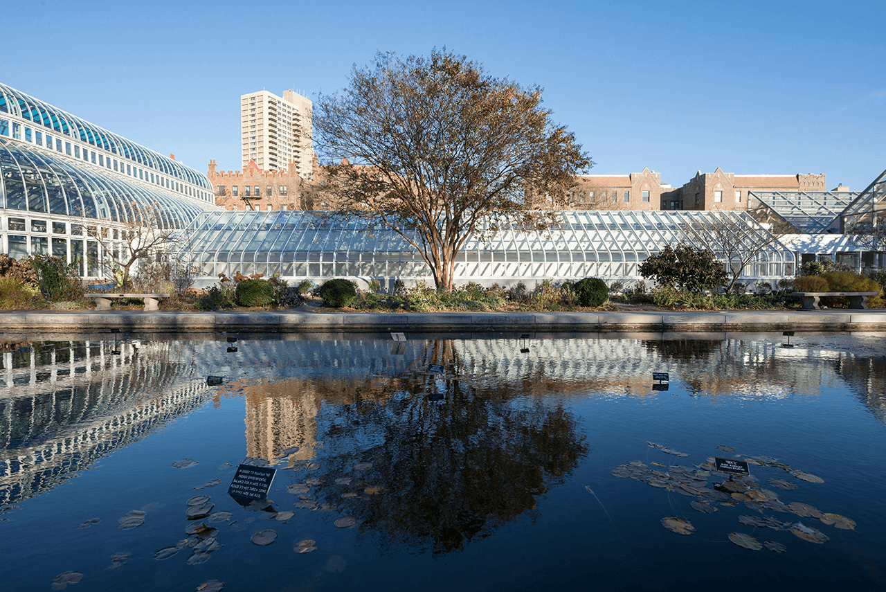 Brooklyn Botanic Garden South Garden