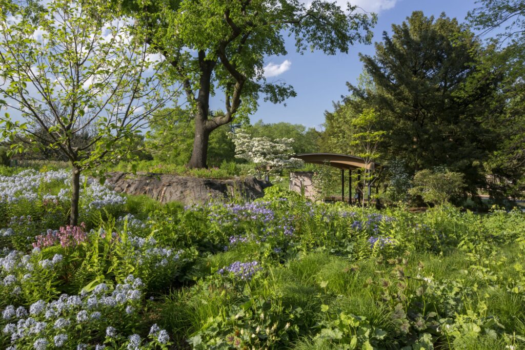 Native Garden Landscape