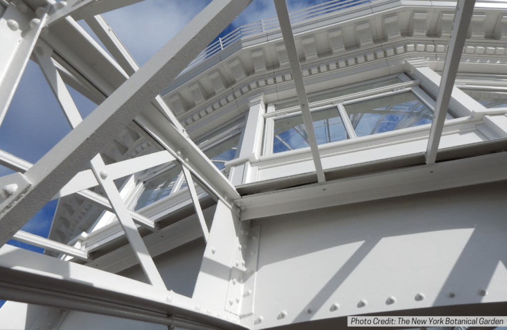 Conservatory Palm Dome Angle Shot