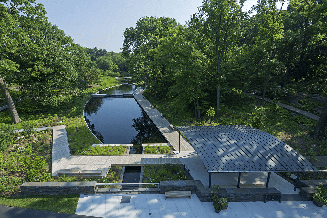 NYBG Native Plant Garden