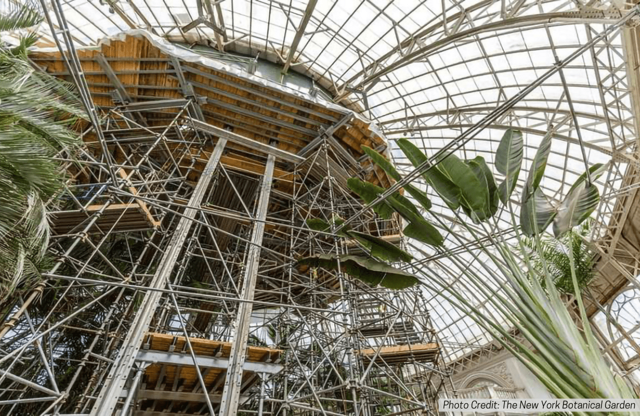 NYBG Palm Dome Construction