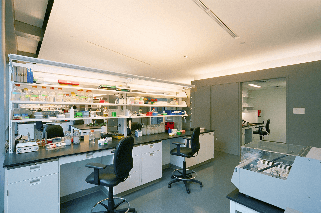 Pfizer Plant Research Laboratory Interior